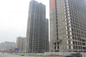 毛坯三房业主诚意出售次新高档小区