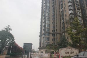 松雅湖金岸3室2厅南北