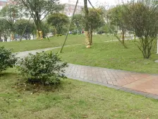 精装大三房业主诚心出售随时签约