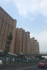 美洲花园棕榈湾2室1厅西南