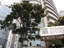 汤臣一品,高区精装江景房,江景无遮挡,带车位