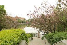 星洲湾三期独栋精装修使用面积2000多平米!