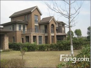 沿江毛坯中式合院占地一亩左右自带泳池