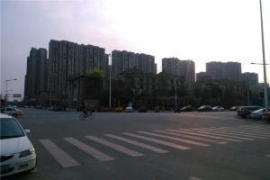 绿地缤纷城A栋1室1厅西南