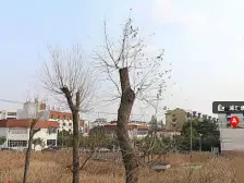 刚需上车 满五 通风好 新上房源