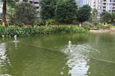 恒大华府61平35万诚心出售,无欠款随时交易