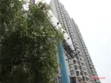 天誉生活广场挑高复式,买一层送一层有装修拎包入住家电俱全