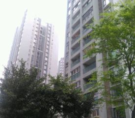 上河居 3室2厅 东南