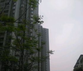 上河居 3室2厅 西南