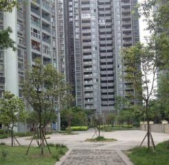 上河居 3室2厅 东南