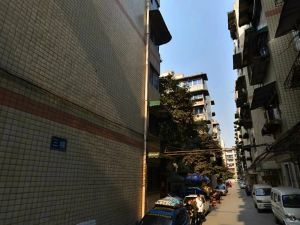 群康路50号2室2厅东南