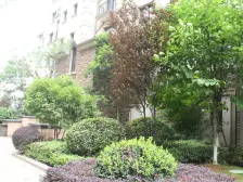 新地阿尔法 南北通透,采光好 装修好,环镜优美 周边匹套完善,,出行方便