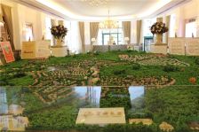 宝珊花园天悦湾大占地联排边套大花园