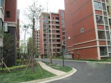 麓山印象 3室2厅 北