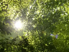 中鹰黑森林11号3室南朝向2329.00万元/套出售