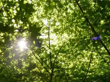 科技住宅,恒温恒氧恒湿,高区三房