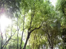 万里·中鹰黑森林·3室·2厅