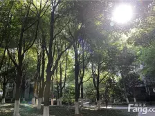 中鹰黑森林11号1室东朝向715.00万元/套出售