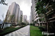 黄金时代(高新区) 2室1厅 南