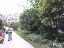 照母山 和记黄埔玥湖园二期二房144.2万