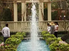 万象城旁毛坯四房+南北通透+楼层好视野佳+双北城