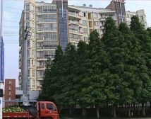 新友花苑满两年精装修拎包入住随时可看房