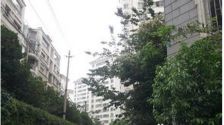 该房屋总价低地理位置好有公园有地铁