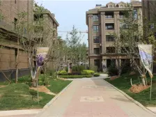 颐和六号清水上跃视野开阔即买即住