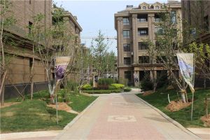 颐和五号 封闭小区户型规矩精装修拎包入住