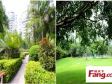 碧桂园大复式 业主诚心出售 随时看房