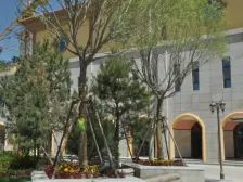 公务员小区 复试洋房 小区环境优美