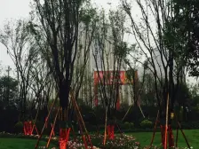 奥园盘龙壹号清水大户型水电气三通