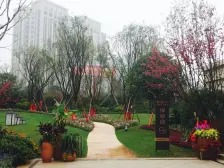 奥园盘龙壹号巴黎苑 2室1厅 南