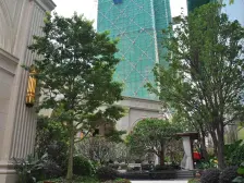 万达御湖公馆 1室1厅 东南