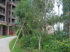 怡丰映玥明轩房子 户型 楼层好 交通便利