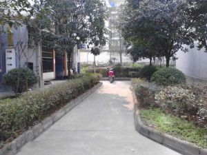 泽润家园2室2厅东南