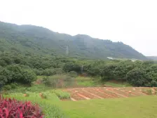 四面环山 空气清新 青山绿水 负离子是广州的4倍