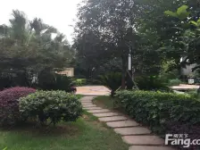 解放碑商圈+日月光次新房+双轻轨+高楼层+视野好