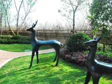 高区双南南 北通两房 +电梯直达车库+满五年 不唯 一