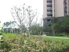 星洲国际 2室2厅 南 北