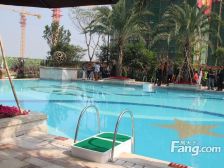 高楼层 四房毛胚 业主诚心出手 随时可以看