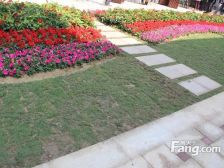 世纪城凯旋湾花园 三房高楼层采光好