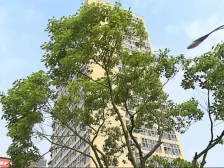 美乐城,4室2厅,中楼层,住宅公寓,居住舒适