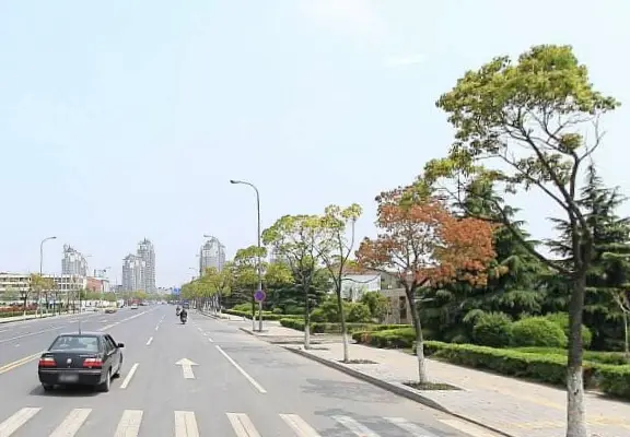 太丰小区