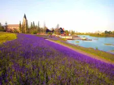 紫云台打头上叠,远离高层顶层全封包 全屋实木装修