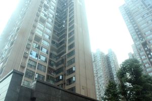 地铁口 泰禹 三期住宅, 刚交房,次新房,清水毛坯