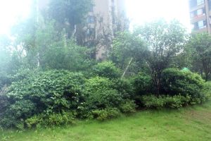 区政府板块,5号线地铁口,泰禹次新小区楼层好