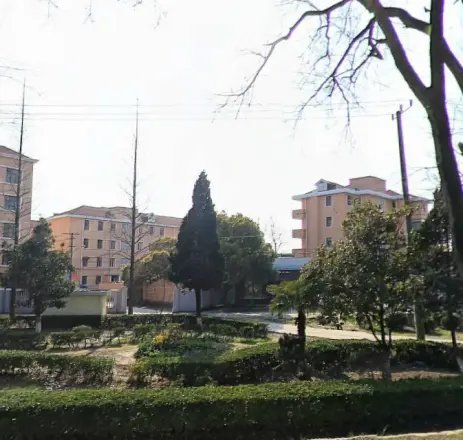 洪联新村