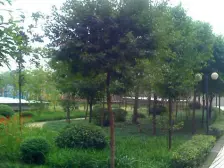 彩色奥邻 2室2厅 东南