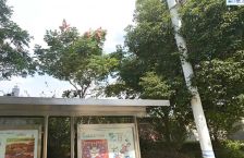 幸福天地二期4室2厅南